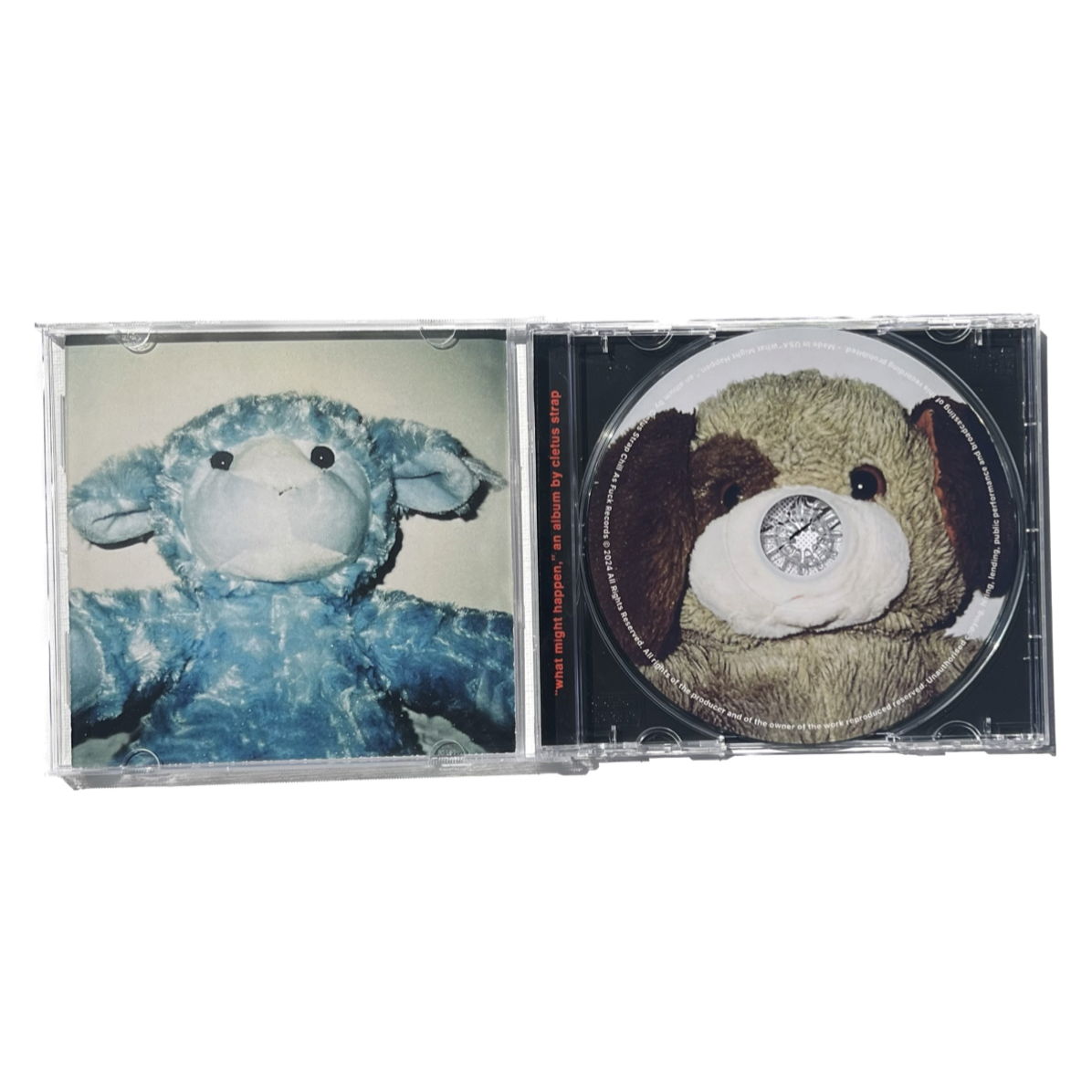 Cletus Strap “What Might Happen” Album CD